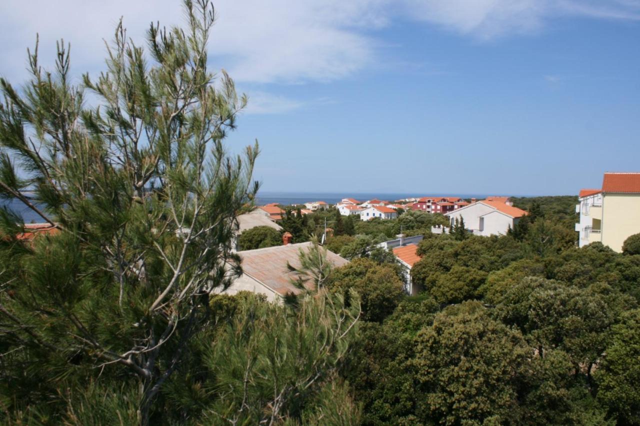 Apartments And Rooms With Parking Space Mandre, Pag - 6309 콜란 외부 사진